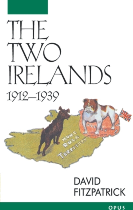 The Two Irelands, 1912-1939 av David Fitzpatrick (Paperback)