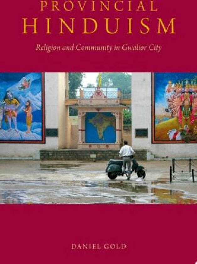 Provincial Hinduism av Daniel Gold (Paperback)