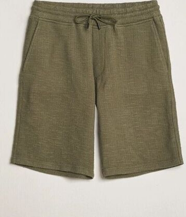Jerry Shorts Capers Green