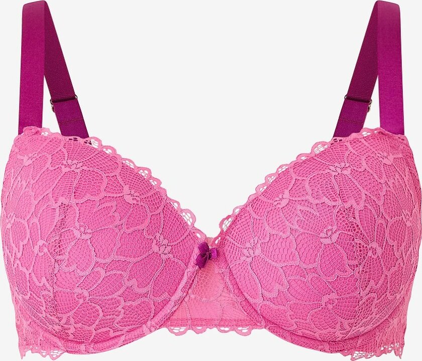 Spile-BH Lnaja - Rosa