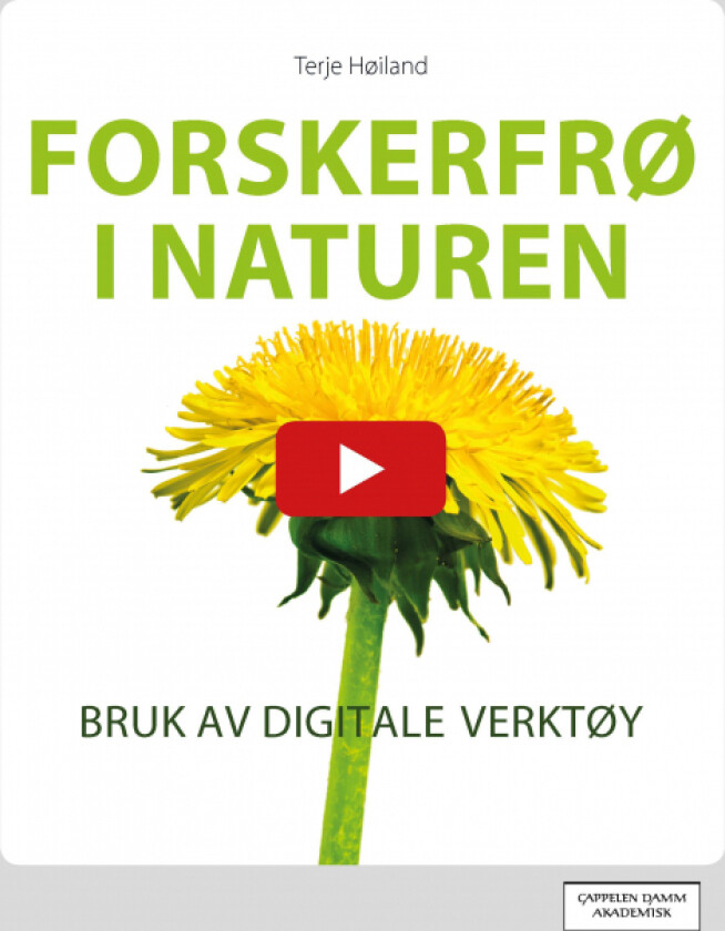 Forskerfrø i naturen av Terje Høiland