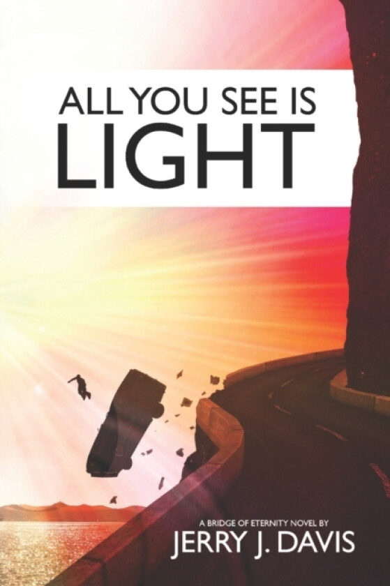 All You See Is Light av Jerry J Davis (Paperback)