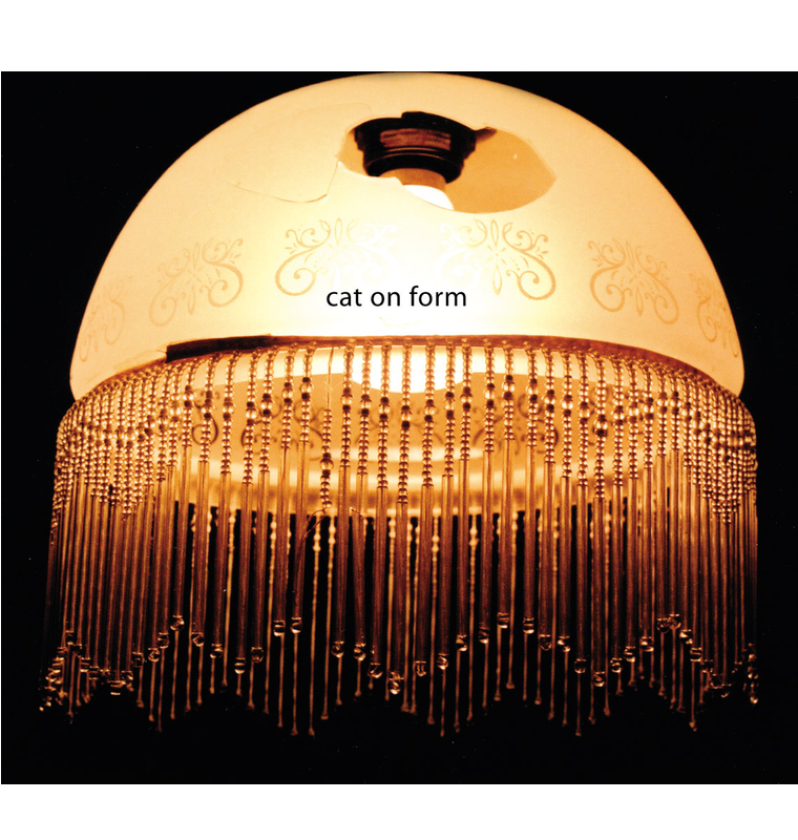 Cat On Form Set Them On Fire With Their Own Matches CD