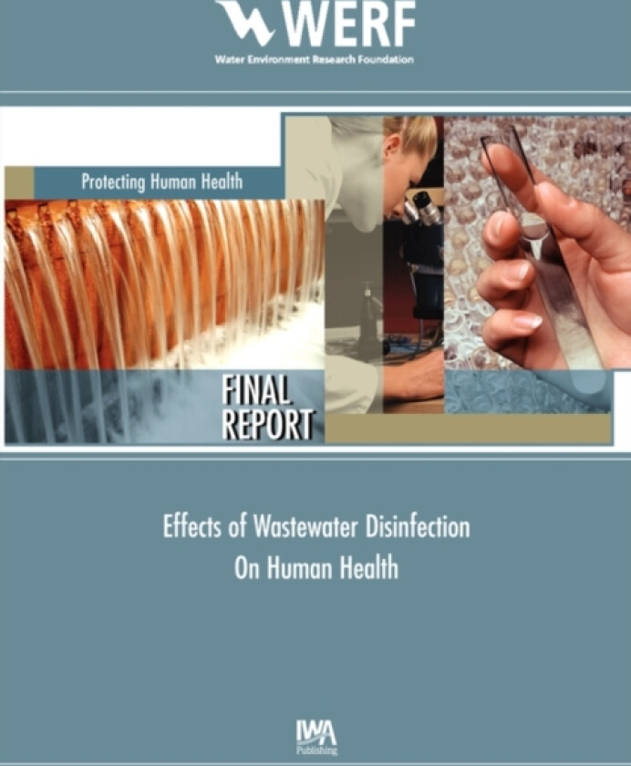 Effects of Wastewater Disinfection on Human Health av Ernest R. III III Blatchley (Paperback)