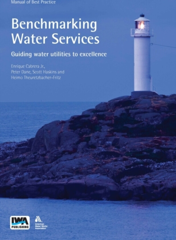 Benchmarking Water Services av Enrique Cabrera Jr, Peter Dane, Scott Haskins (Paperback)