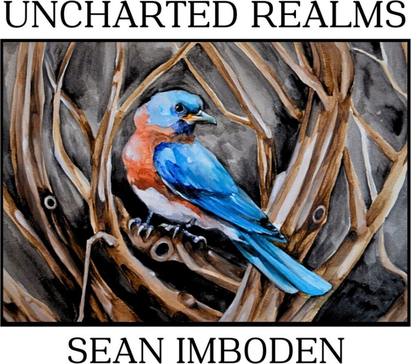 Sean Imboden Uncharted Realms CD