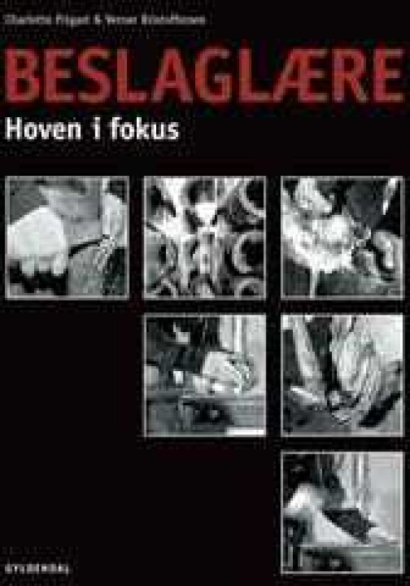 Beslaglære Verner Kristoffersen Charlotte Frigast Språk: Dansk