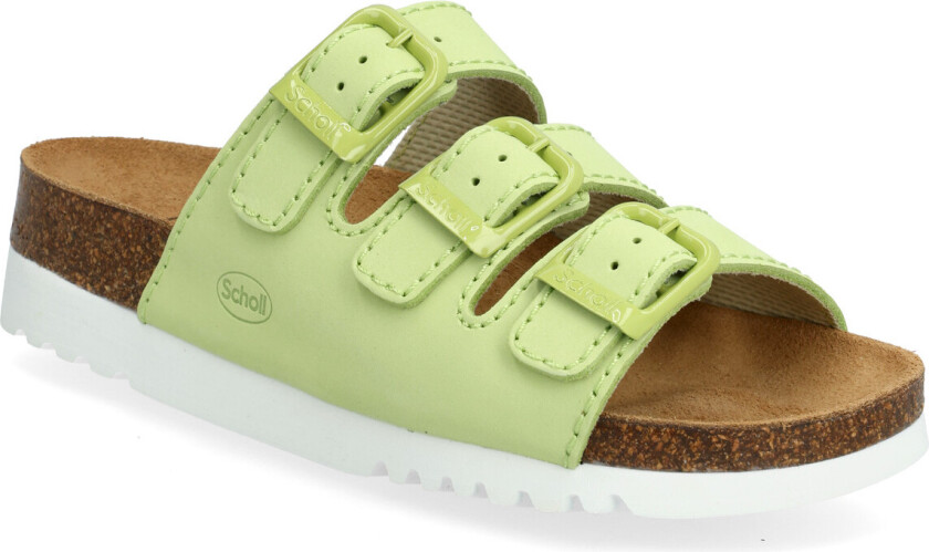 Rio Limited Edition - Green - 39 x 24.5