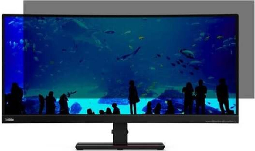 Kensington display privacy filter - 34" wide