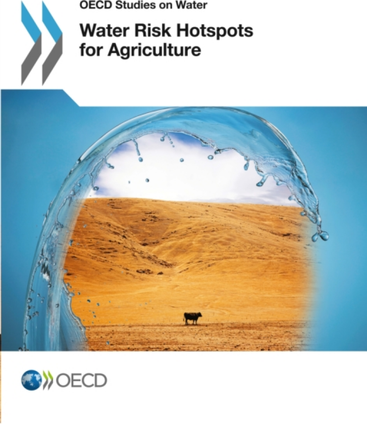 Water Risk Hotspots for Agriculture