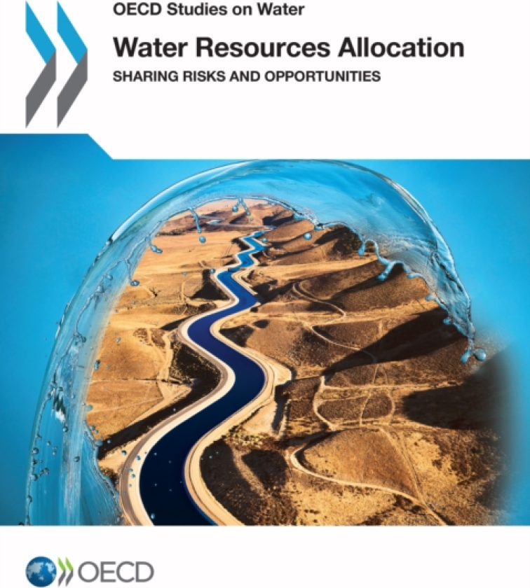 Water Resources Allocation Sharing Risks and Opportunities