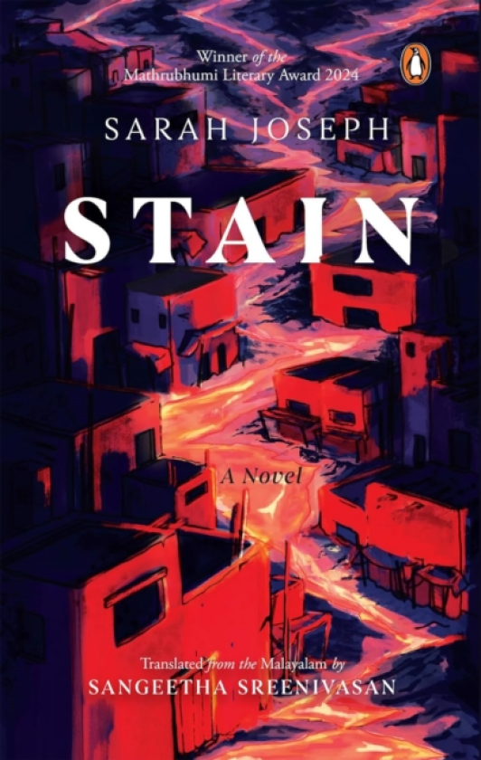 Stain A Novel
