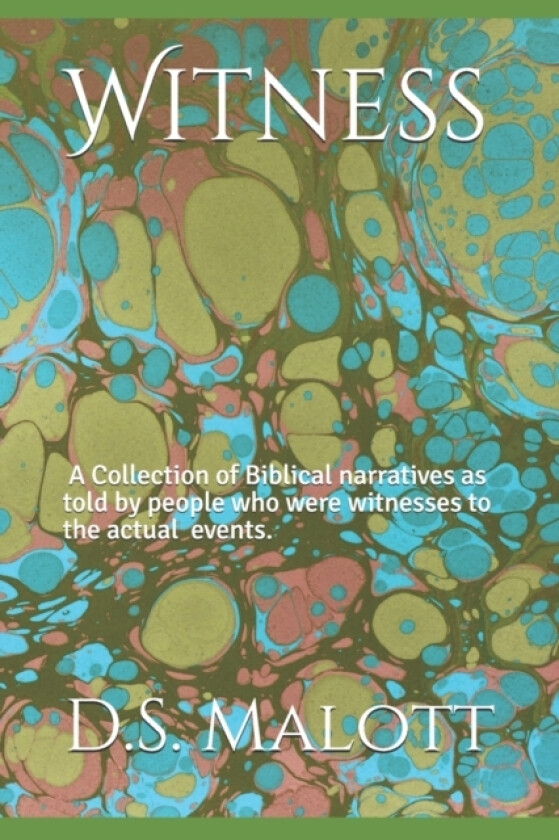 Witness av Douglas S Malott (Paperback)