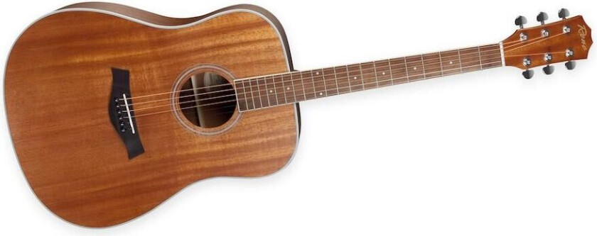 Reno Rw410n Dreadnought, Natur