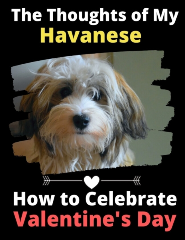 The Thoughts of My Havanese av Brightview Activity Books (Paperback)
