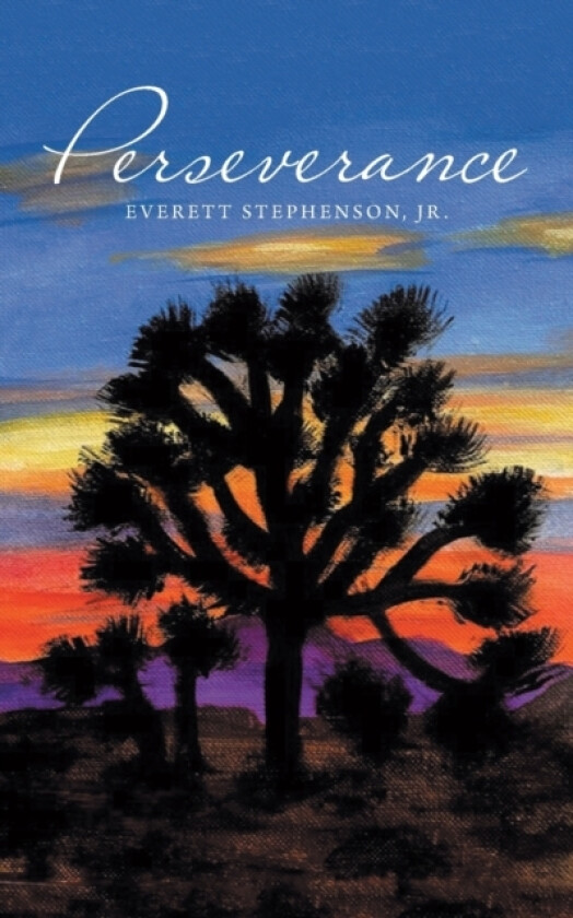 Perseverance av Everett Jr Stephenson (Paperback)