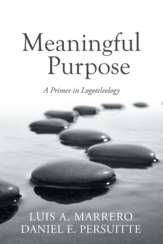 Meaningful Purpose av Luis A Marrero, Daniel E Persuitte (Paperback)