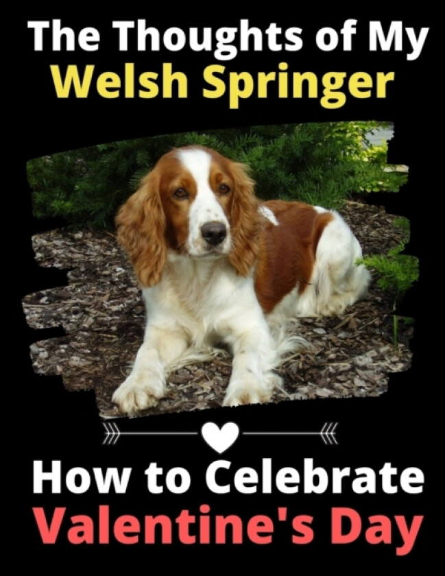 The Thoughts of My Welsh Springer av Brightview Activity Books (Paperback)