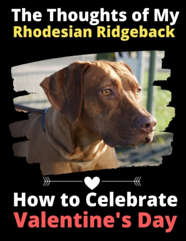 The Thoughts of My Rhodesian Ridgeback av Brightview Activity Books (Paperback)