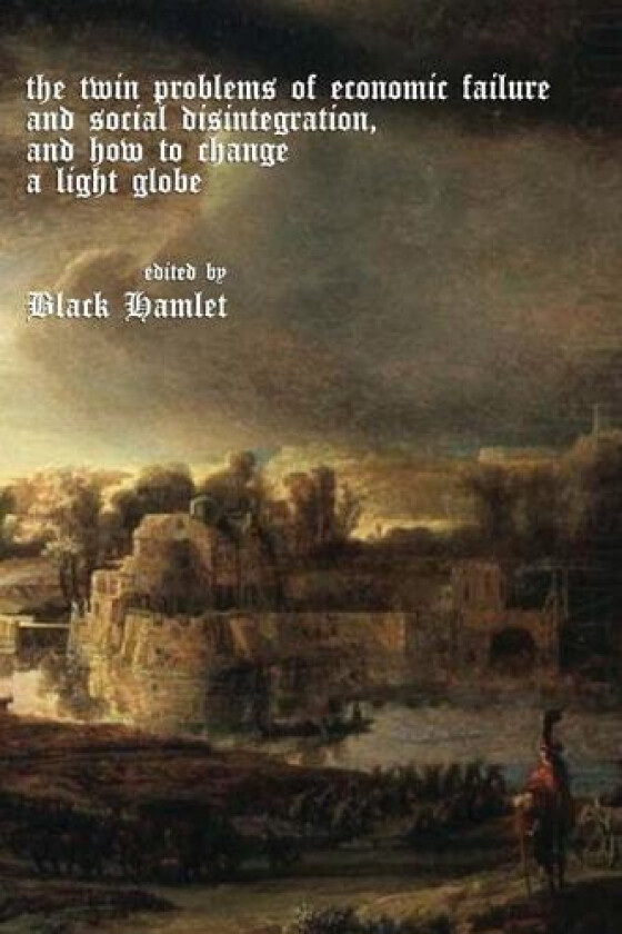 The twin problems of economic failure and social disintegration, and how to cha av Ann Coberley, Bobbie Wright, Andrew Sano (Paperback)