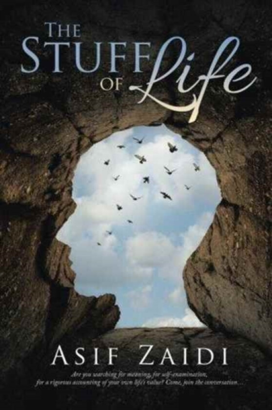 The Stuff of Life av Asif Zaidi (Paperback)