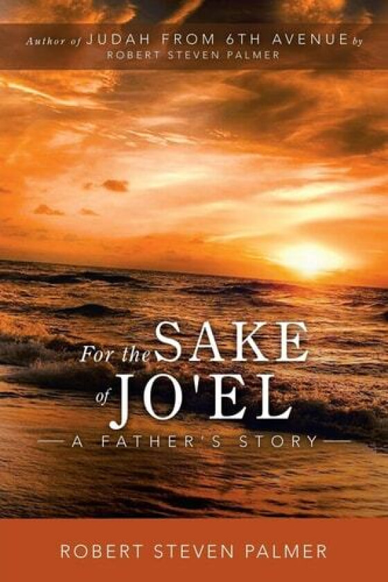 For the Sake of Jo'el av Robert Steven Palmer (Paperback)