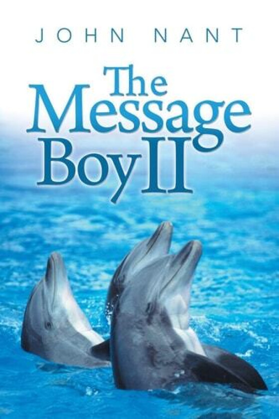The Message Boy II av John Nant (Paperback)