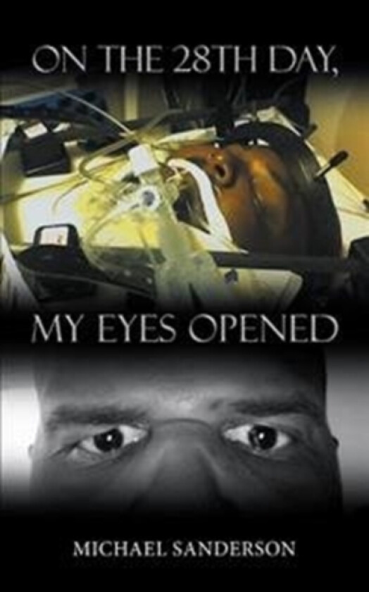 On the 28th Day, My Eyes Opened av Michael Sanderson (Paperback)