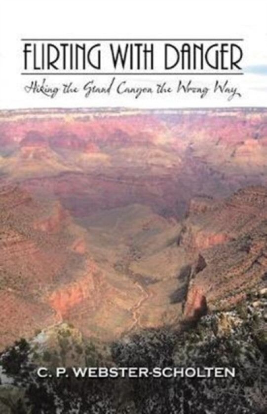 Flirting with Danger av C P Webster-Scholten (Paperback)