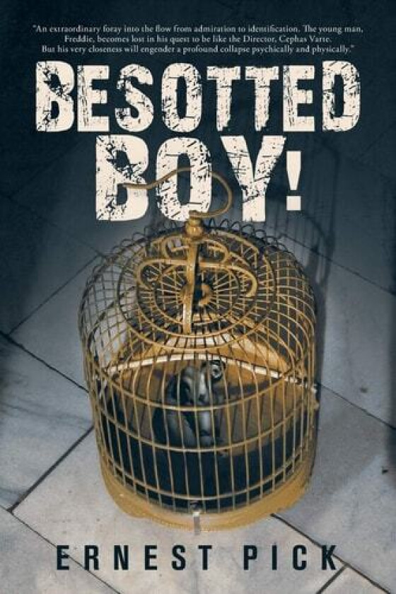 Besotted Boy! av Ernest Pick (Paperback)