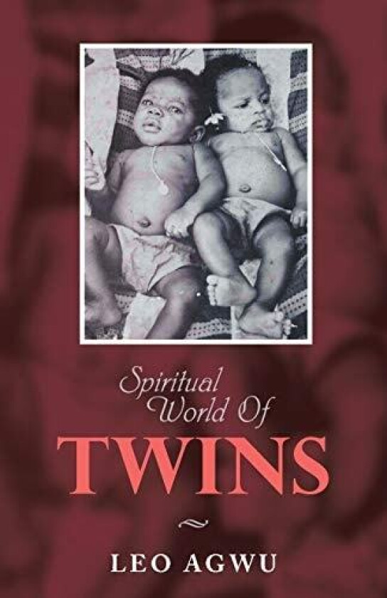 Spiritual World of Twins av Leo Agwu (Paperback)