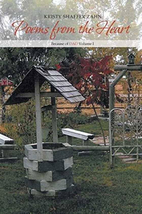 Poems from the Heart: Because of DAD Volume I av Kristy Shaffer Zahn (Paperback)