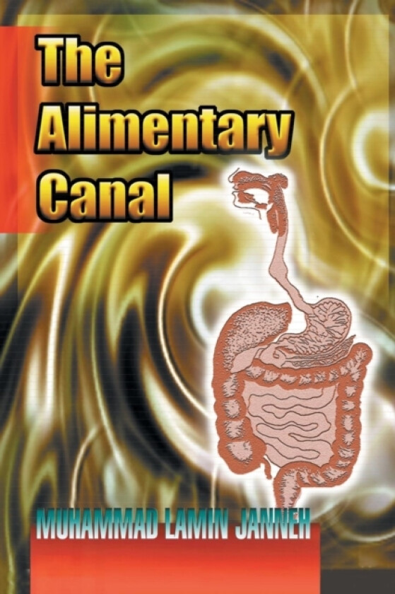 The Alimentary Canal av Muhammad Lamin Janneh (Paperback)
