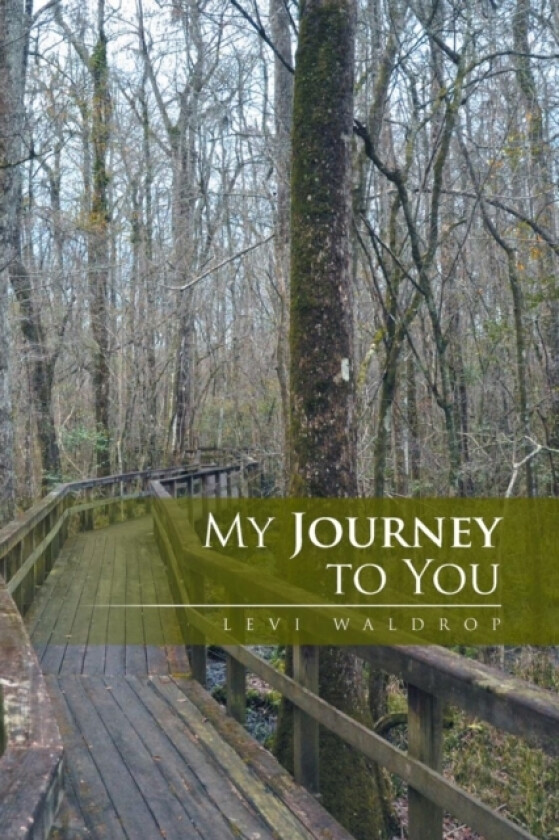 My Journey to You av Levi Waldrop (Paperback)