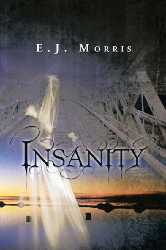 Insanity av E J Morris (Paperback)
