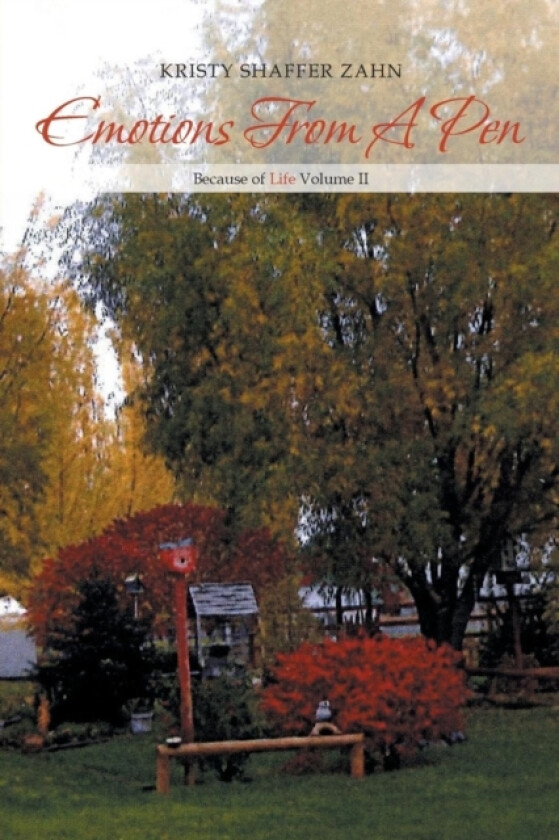 Emotions from a Pen av Kristy Shaffer Zahn (Paperback)