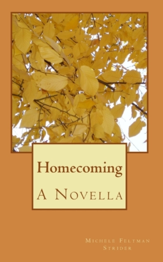 Homecoming av Michele Feltman Strider (Paperback)