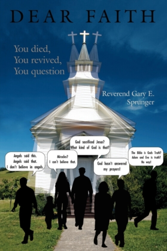 Dear Faith av Reverand Gary E Sprunger (Paperback)