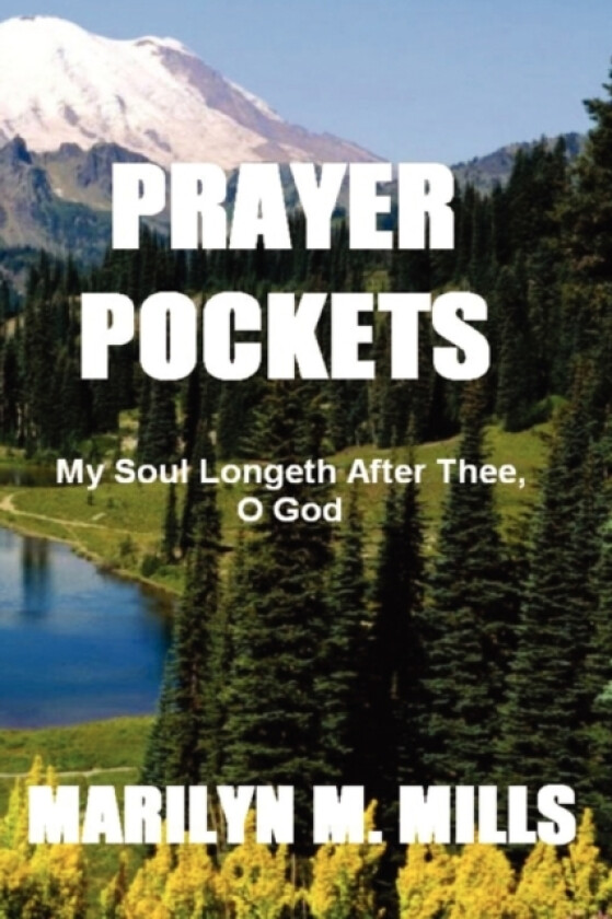Prayer Pockets av Marilyn M. Mills (Paperback)