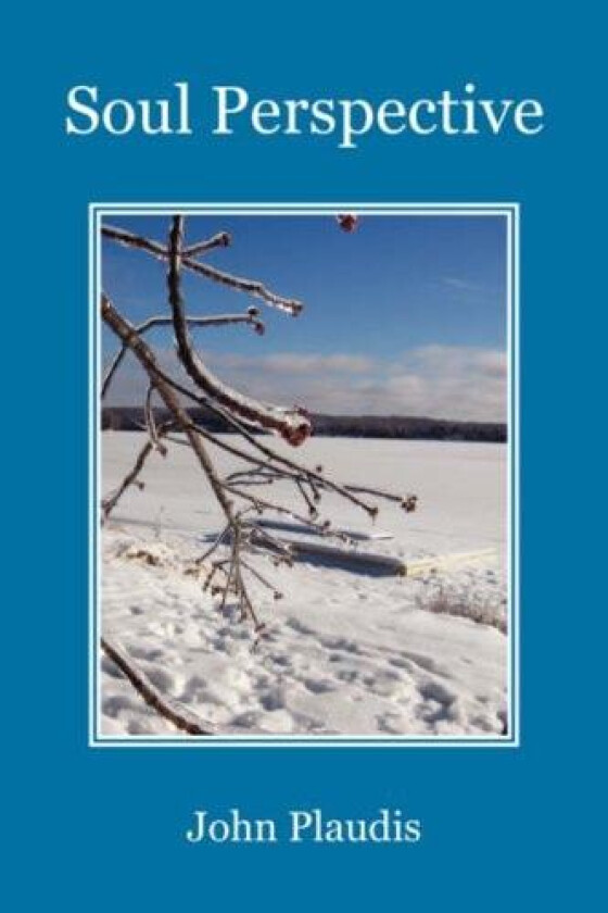 Soul Perspective av John Plaudis (Paperback)