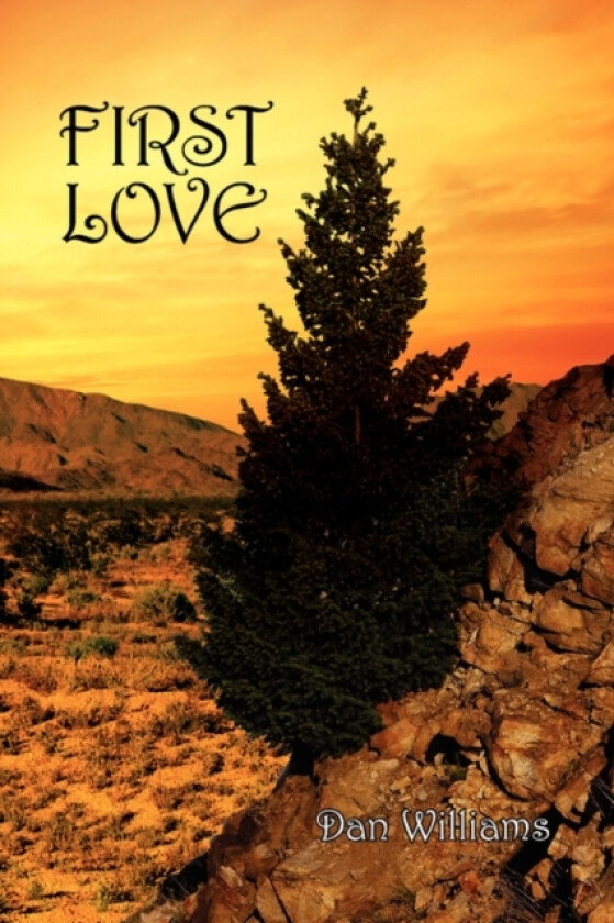First Love av Dan Williams (Paperback)
