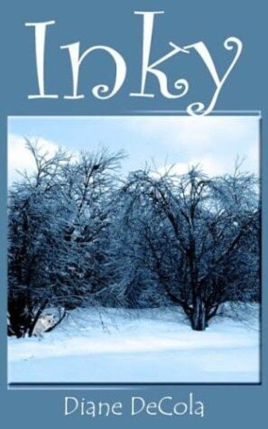 Inky av Diane DeCola (Paperback)