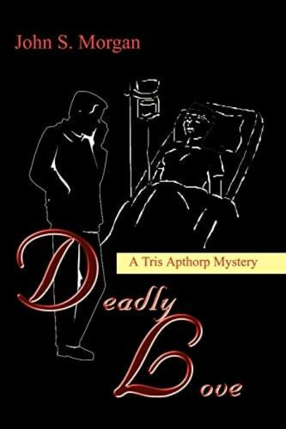 Deadly Love av John S. Morgan (Paperback)