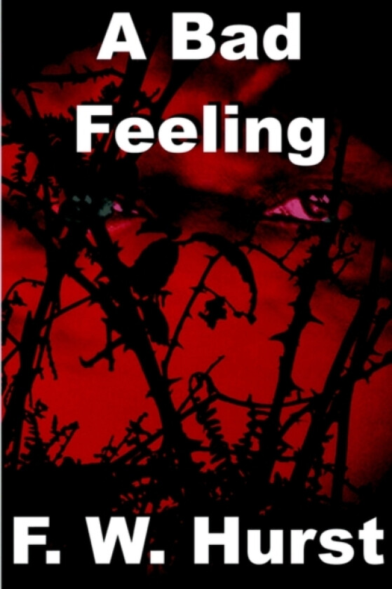 A Bad Feeling av Frank Hurst (Paperback)