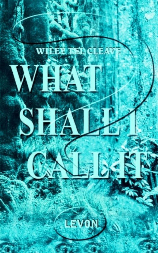 What Shall I Call It? av WILEY TEL CLEAVE (Paperback)
