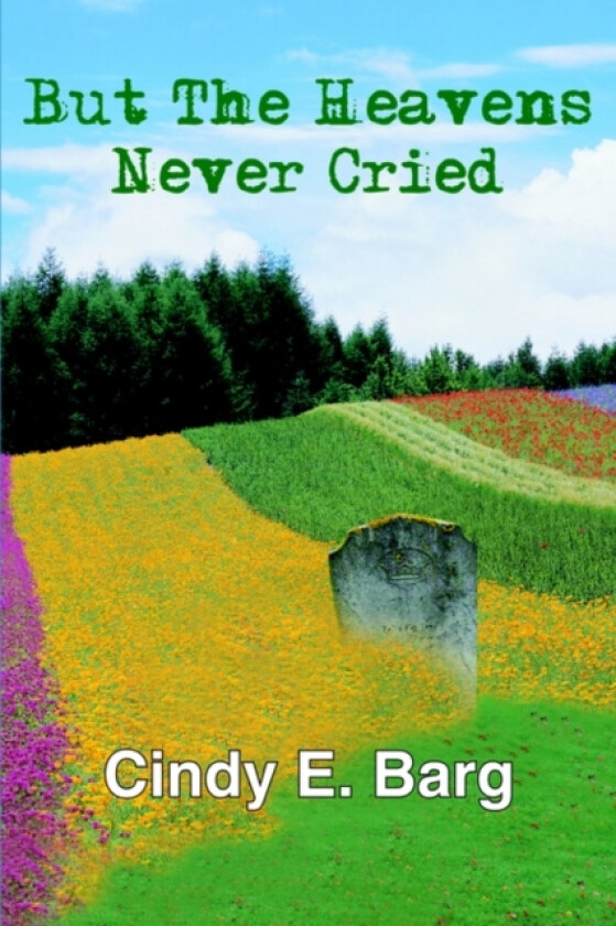 But The Heavens Never Cried av Cindy E. Barg (Paperback)