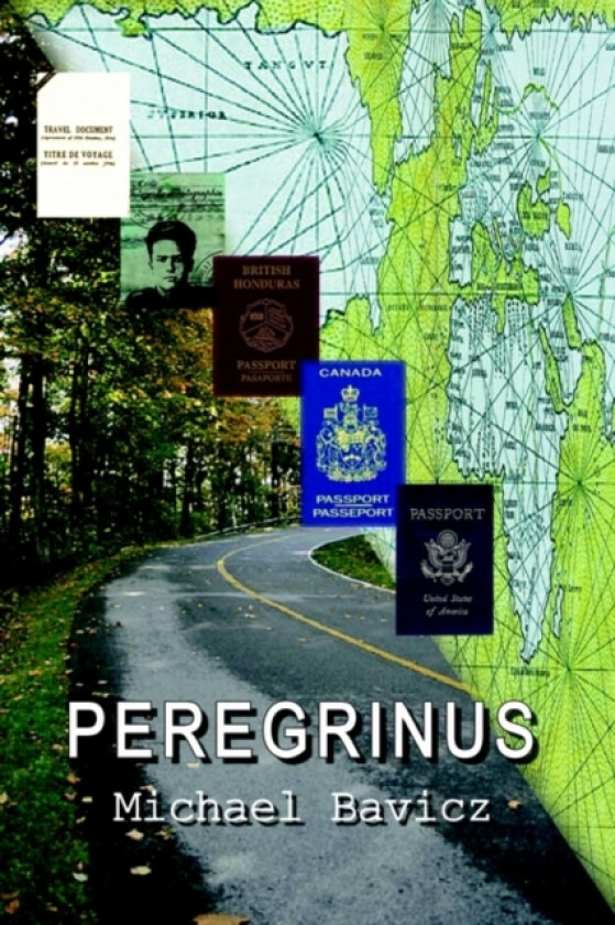 Peregrinus av Michael Bavicz (Paperback)