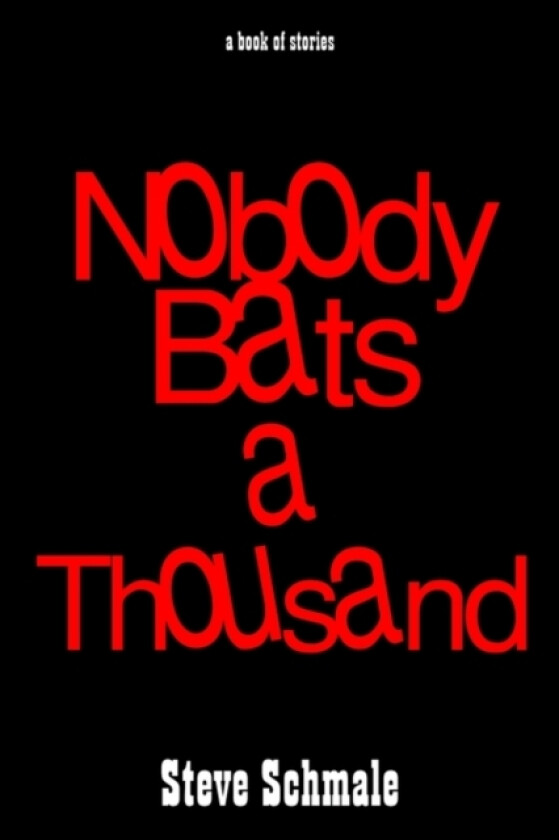 Nobody Bats a Thousand: a Book of Stories av Steve Schmale (Paperback)