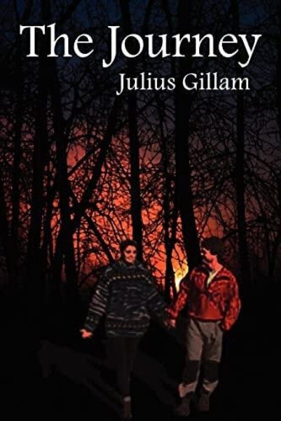 The Journey av Julius Gillam (Paperback)