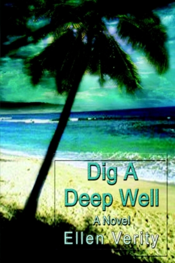 Dig a Deep Well av Ellen Verity (Paperback)